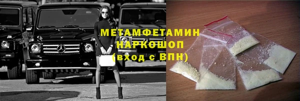 сатива Беломорск