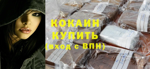 сатива Беломорск