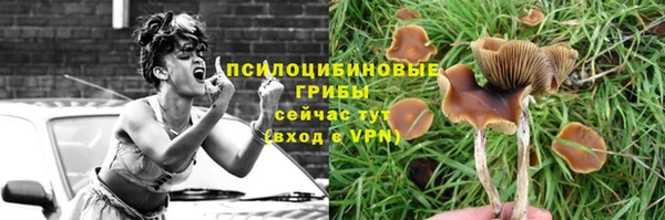 герыч Саяногорск